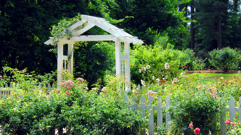 Gardens of the American Rose