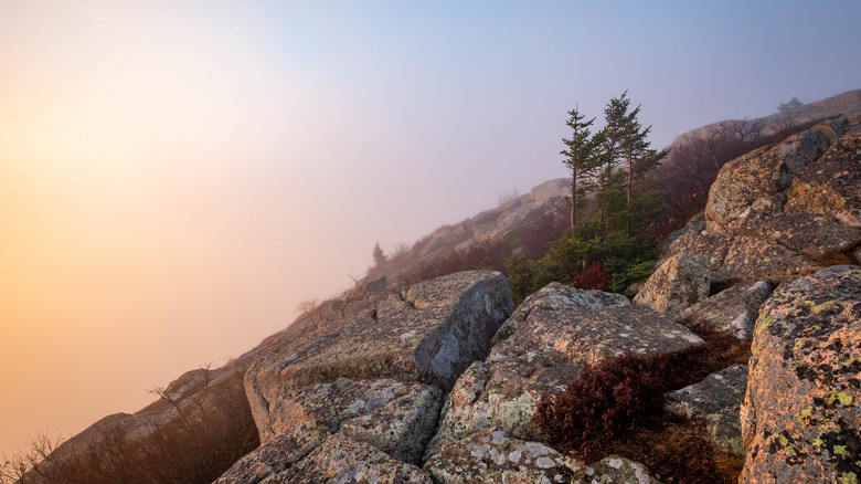 Sunset Cadillac Mountain