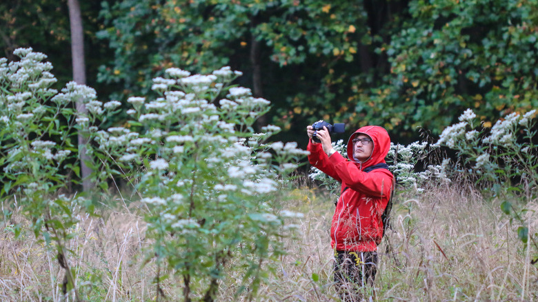 photographer in Woodend Nature Sanctuary