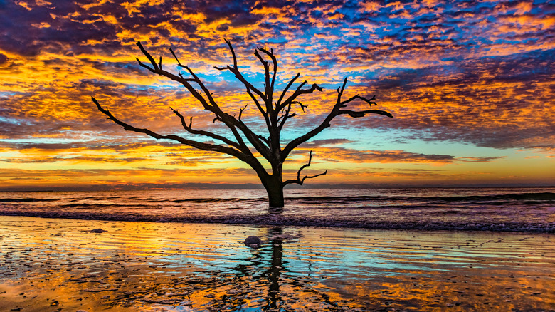 Edisto Beach