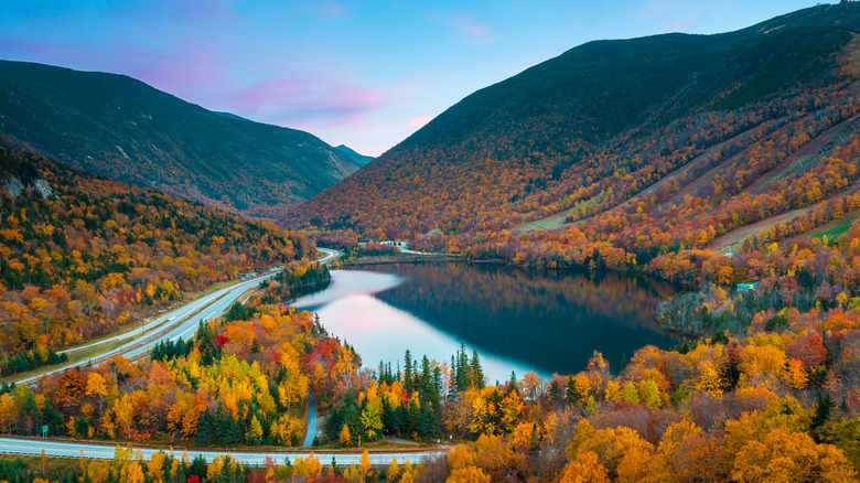 View of White Mountain National Forest