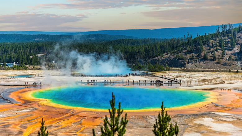 Hot spring at Yellowstone National Park