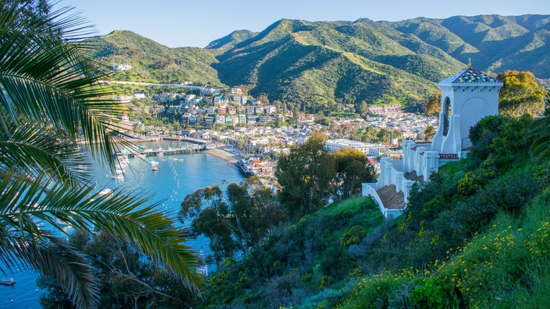 Avalon, California cliffside view