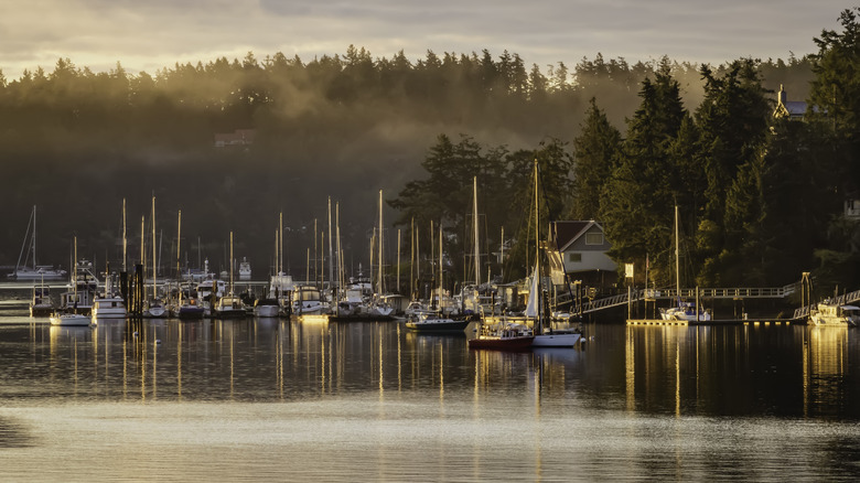 boats in Friday Harbor, Washington