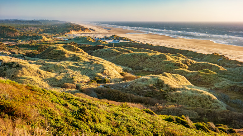 coastal dunes 