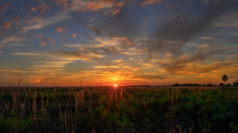 sunset at Kissimmee Prairie