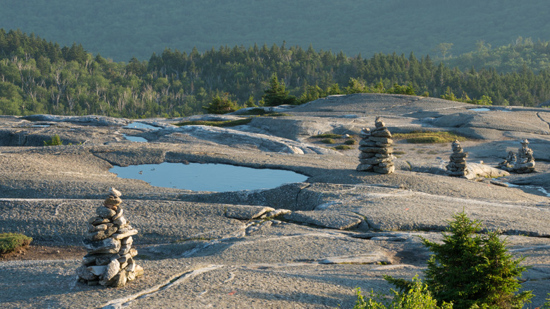 Top of Cardigan Mountain State Park