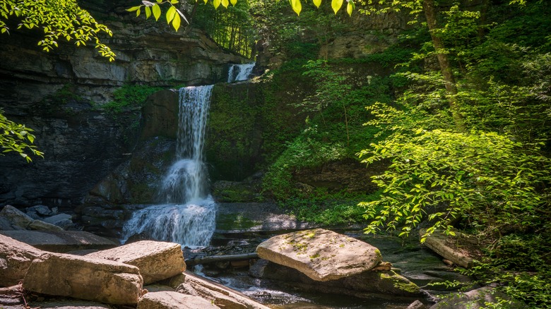 Waterfall at Fillmore Glen State Park