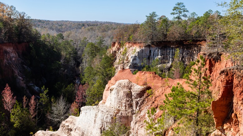 Providence Canyon State Park in Georgia