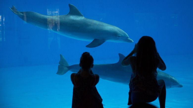 Children at the National Aquarium