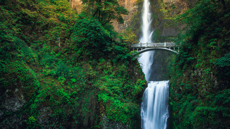 View of Multnomah Falls Bridge