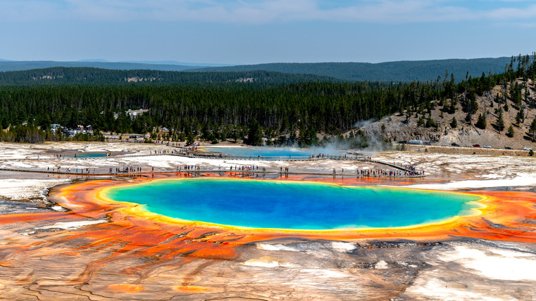 Springs at Yellowstone National Park