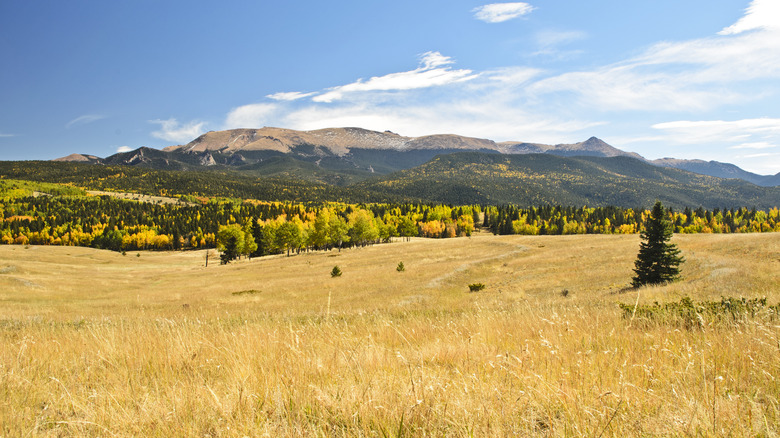 Mueller State Park, Colorado