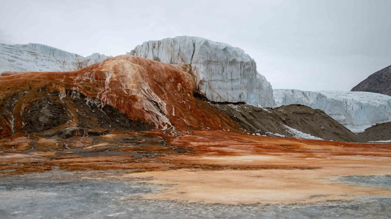 Blood Falls in Antarctica surrounded by snow