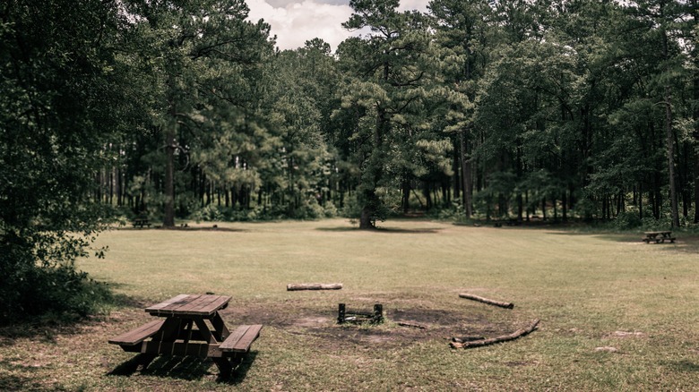 Congaree National Park campground