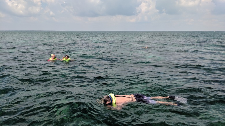 Snorkelers in Biscayne National Park 