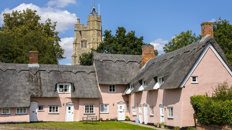 Pink thatch roof cottages