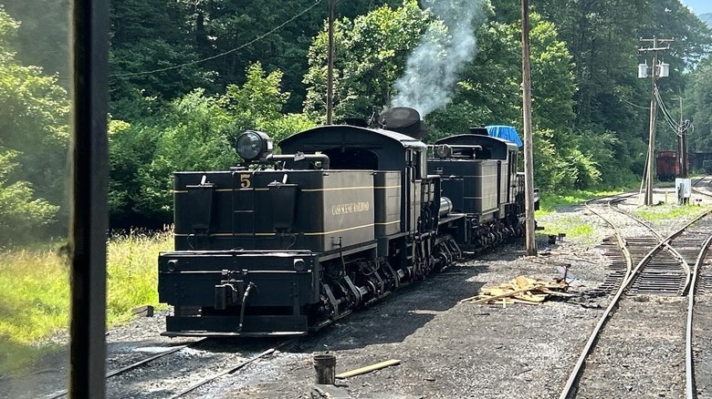 Train at Cass Scenic Railroad