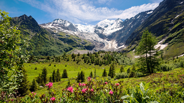 Tour du Mont Blanc view