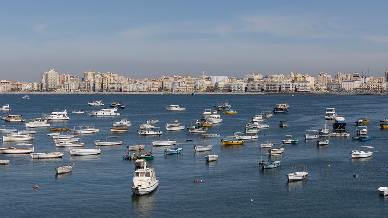 View of Alexandria from the sea