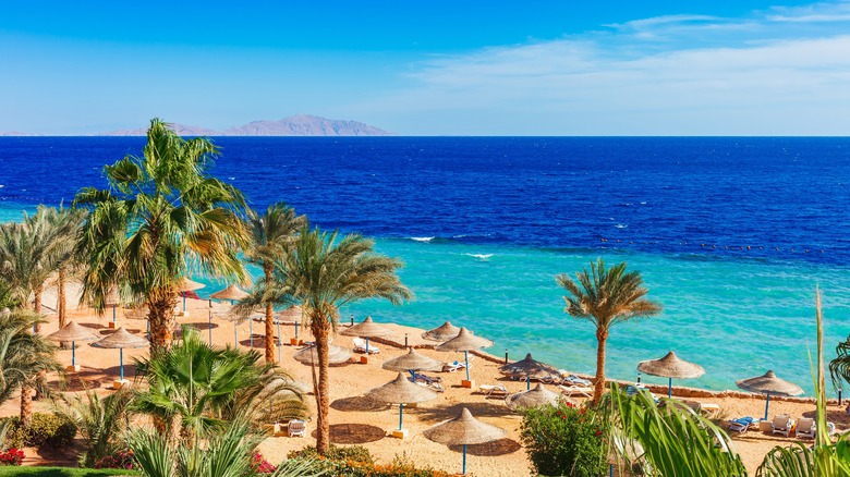 beach in Sinai, Egypt