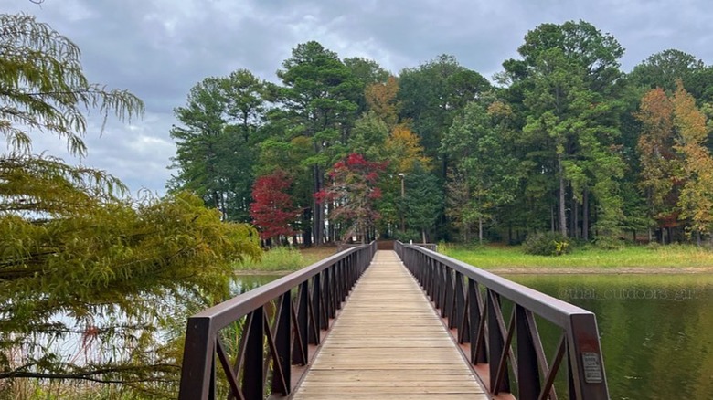 Bridge to park island