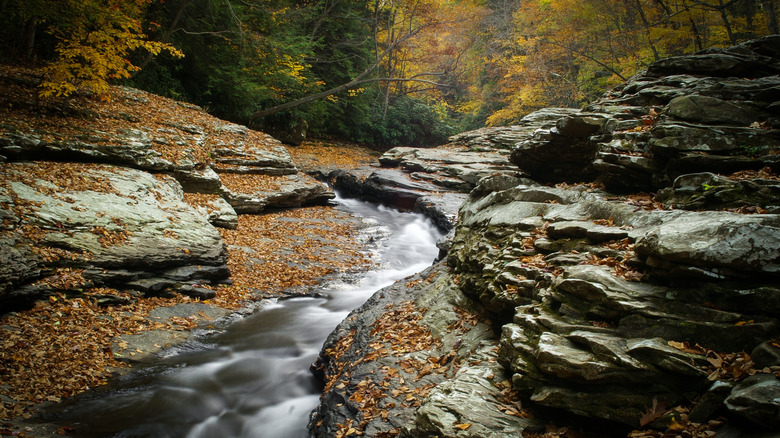 A natural waterslide runs between rocks in Ohiopyle, Pennsylvania