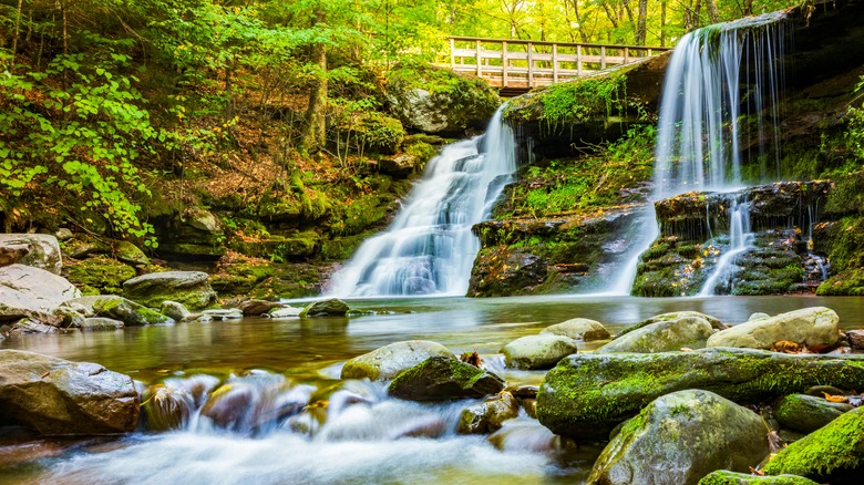 Creek in Catskill Forest Preserve