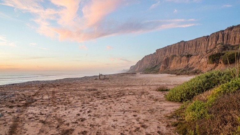 San Onofre, California 