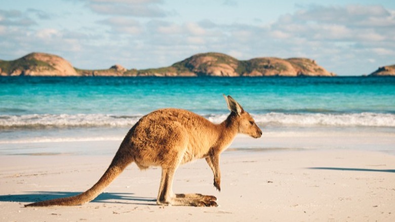 Western Australia 