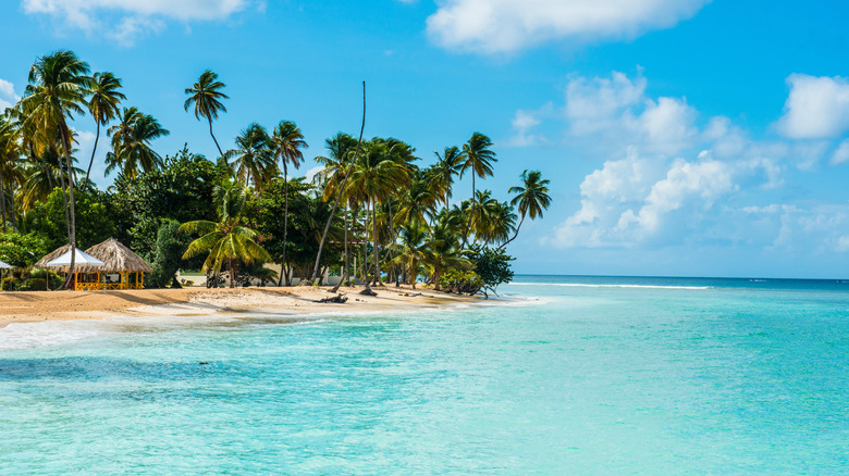 beaches of trinidad and tobago