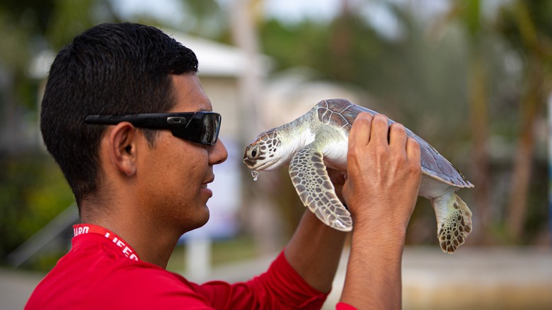 Man holding sea turtle Cayman