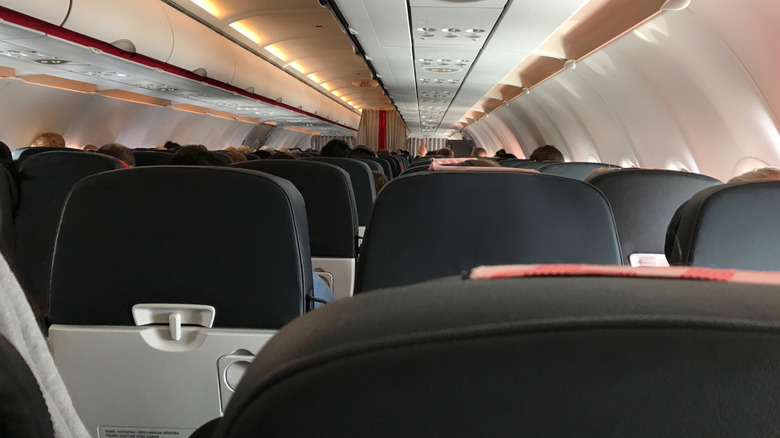 Economy seat on plane 