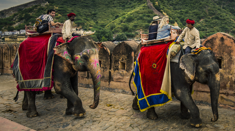 tourists on elephants in India