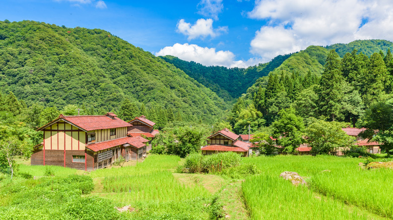 Ozuchi landscape with houses and greenery