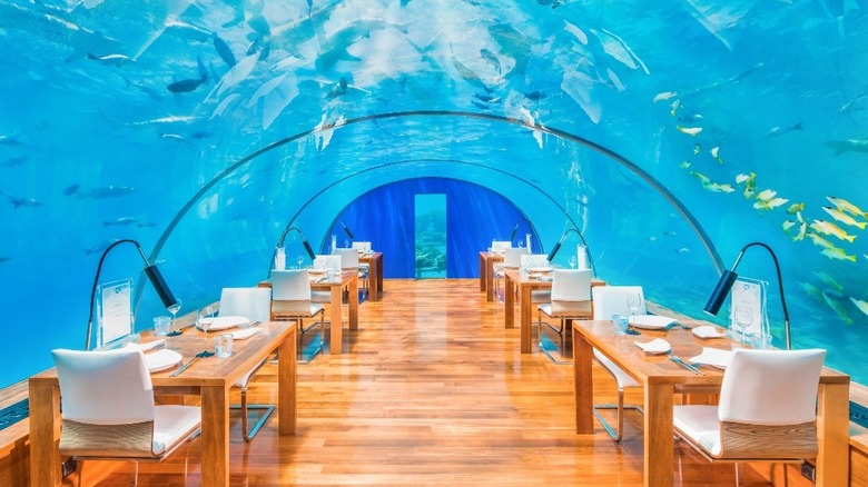 Ithaa Undersea Restaurant in daylight