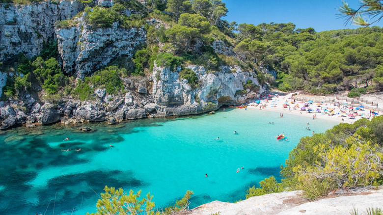 aerial view of Cala Macarelleta