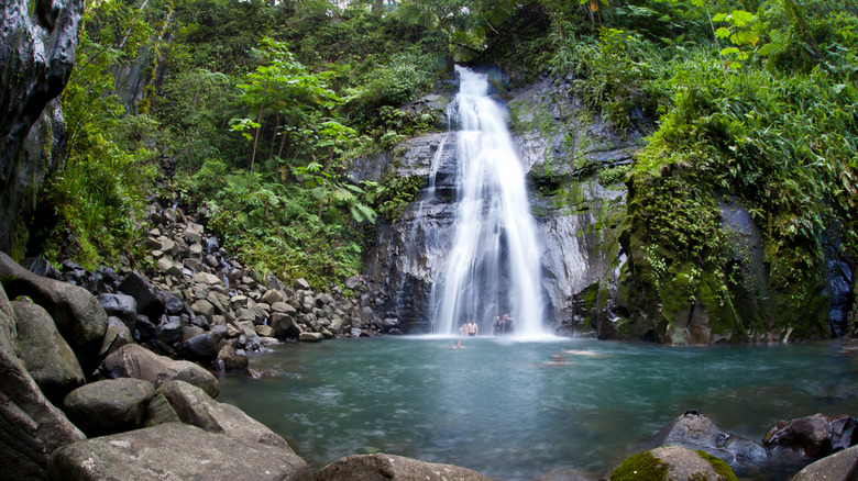 people swimming in Costa Rican waterfall