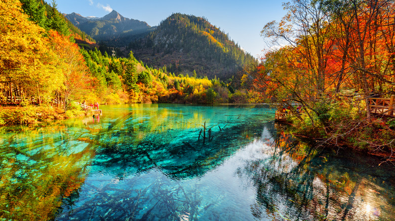 colorful forest lake in China