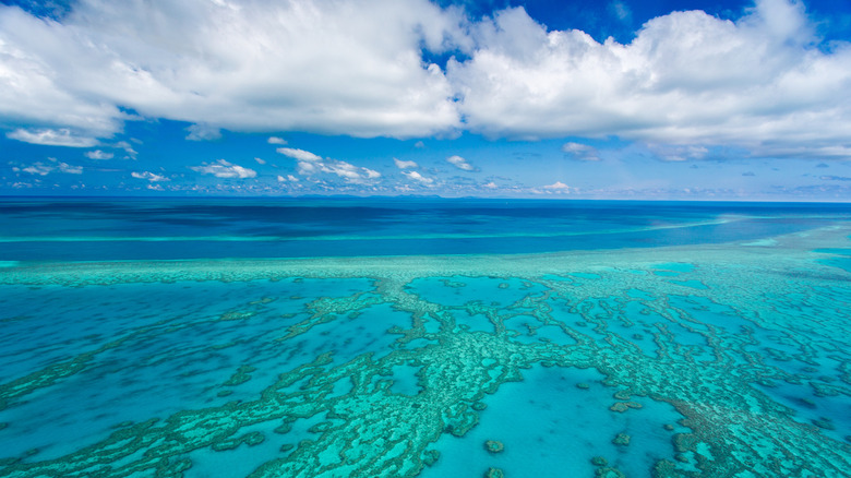 Great Barrier Reef, Australia