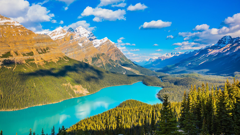 lake surrounded by forest and mountains