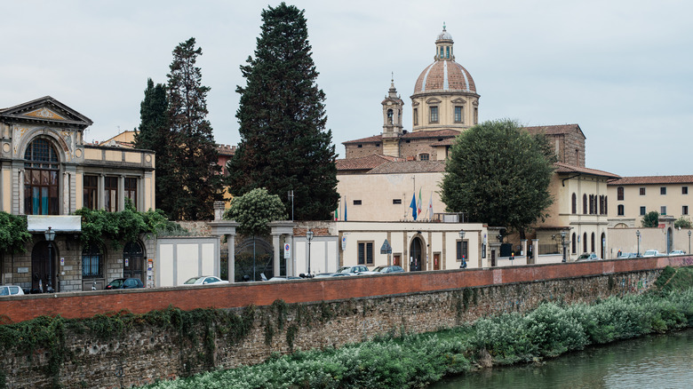 buildings and trees by river