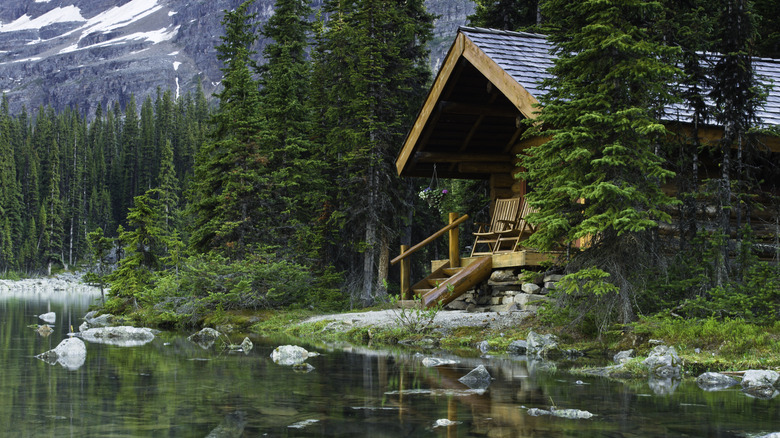 remote cabin in the woods near river 