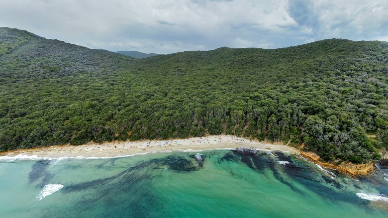 View of Cala Violina from above with a green backdrop