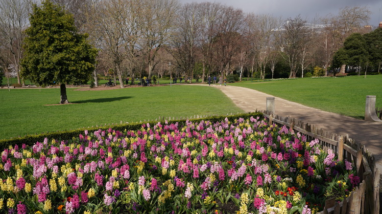 Merrion Square Park in Dublin
