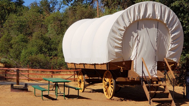 Covered wagon in the woods for camping