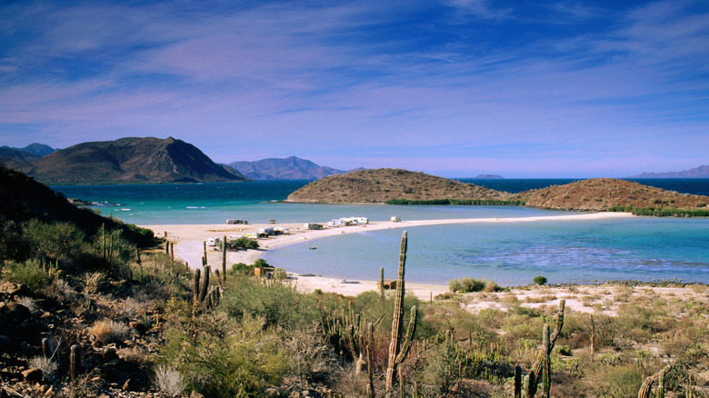 Sea of Cortez, Baja, Mexico