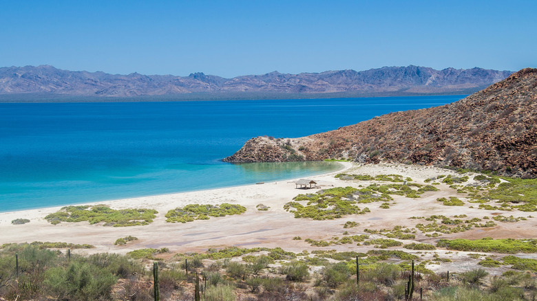 seascape and desert landscape views of Bahia de Concepcion