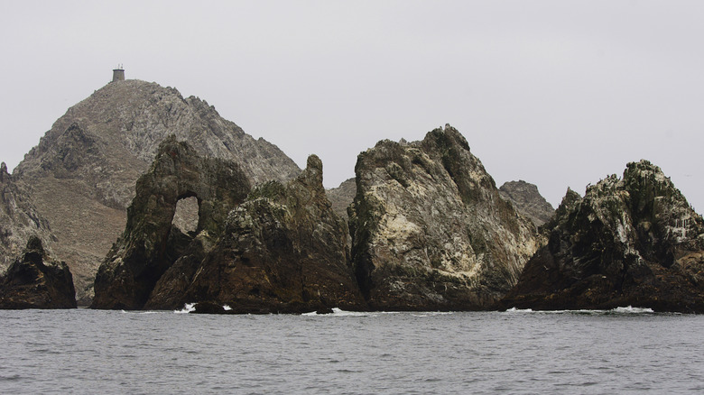 Landscape of Farallon Islands