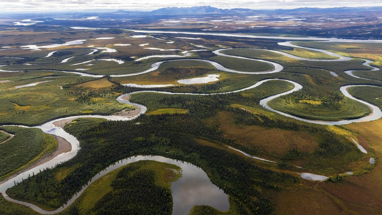 aerial view of river in tundra